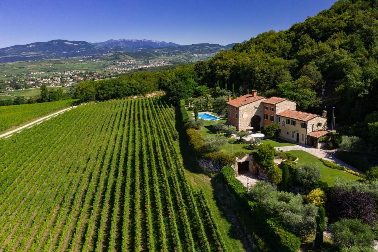 Lodge Vitis *