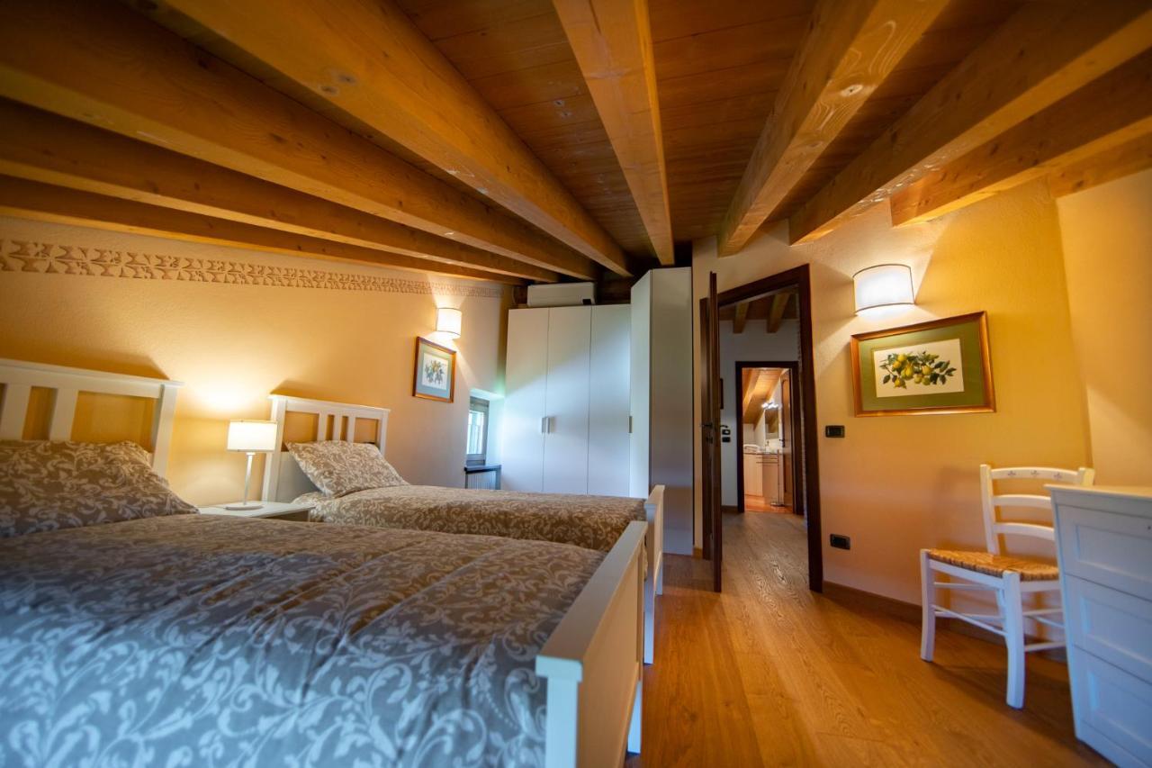 Lodge Vitis