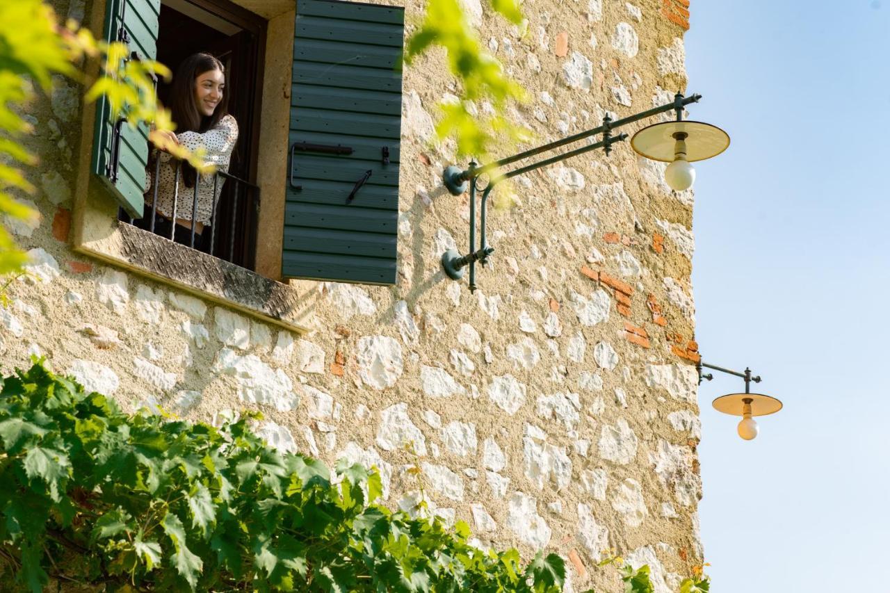 Vitis Lodge