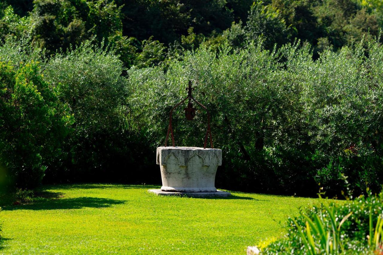 Vitis Lodge Negrar