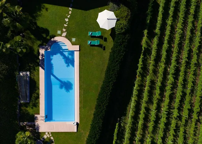 Villa Vitis